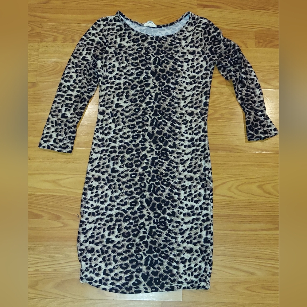 Leopard Print Long Sleeve Dress